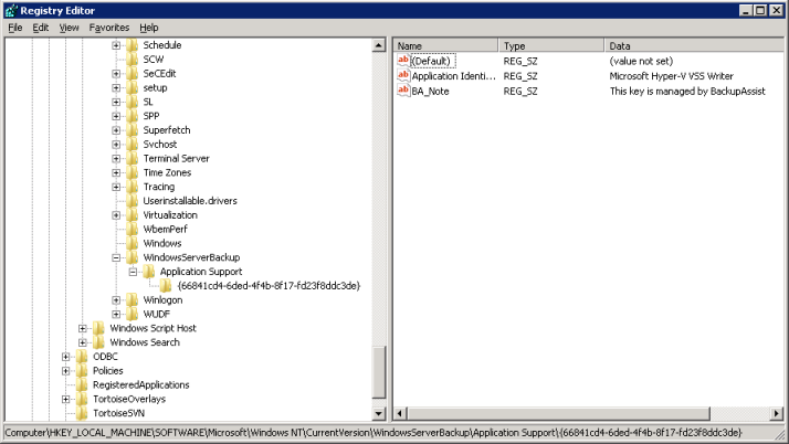 Windows Server Backup VSS Application Support