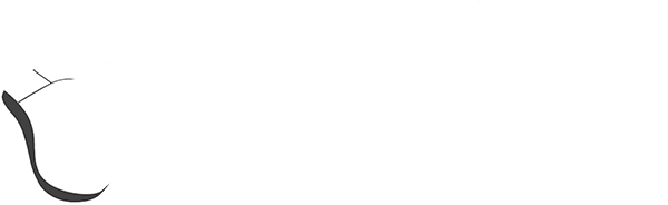  Command IT Limited